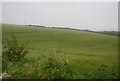 Farmland, Ford Hayes Farm