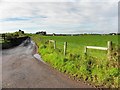 Lane, Moylagh