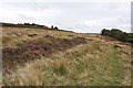 View to Fylingdales radar base