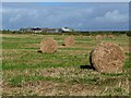 Straw bales, Marloes Court Farm