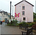 Pink butterfly on a pink wall, Llanwrtyd Wells