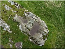 NR6707 : St Columba's Footprints, Keil, Mull of Kintyre by Becky Williamson
