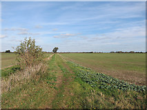 TL3972 : Bridleway from West Fen Road by Hugh Venables
