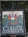 TQ7146 : Collier Street Village sign (close-up) by David Anstiss