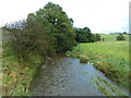 Stock Beck upstream of Horton Bridge