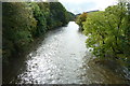 River Teviot from Martin