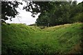 Earthwork in Tatton Park