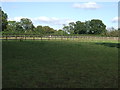 Grazing near Beausale