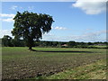 Farmland off Kenilworth Road