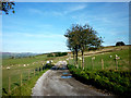 The track to Mitton House Farm