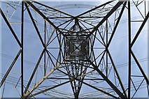 SK4481 : Under an electricity pylon at Holbrook by Neil Theasby