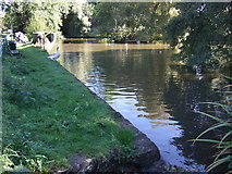 SP2481 : Pond at Meriden by JThomas