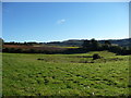 View up to Painswick Beacon from the Wash Brook valley