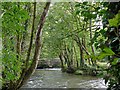 River Lynher approaching Kerney Bridge