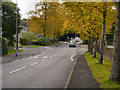 SK0681 : Hayfield Road, Chapel-en-le-Frith by David Dixon