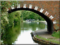 Birmingham and Fazeley Canal near Castle Vale, Birmingham