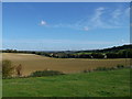 View towards Lyminge