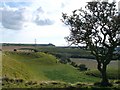 North Downs near Postling