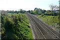 View from Stowford Bridge