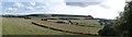 Panorama of Tolsford Hill