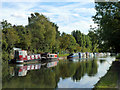 Moored boats, Grand Union Canal