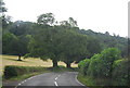 A470 near Croesau