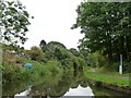 Dudley No 2 Canal, east of High Bridge