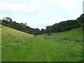 Bridleway to Great Shuttlesfield Farm in a valley