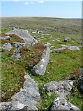 SX6461 : South of Sharp Tor by Graham Horn