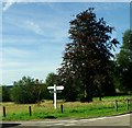 Post direction sign, The Down, Kent