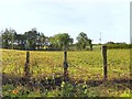 Eskragh Townland