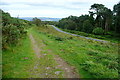 Haytor granite tramway