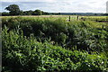 Farmland beside Pickedmoor Lane