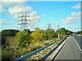 Forest of pylons, tangle of wires