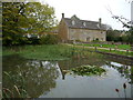 The village pond in Wyck Rissington