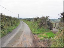 H7015 : Road at Drumcreeghan by Kenneth  Allen