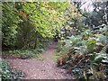 Signpost in Ernocroft Wood