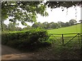 Gateway on Long Lane