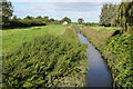 Drainage channel at Oldbury-on-Severn