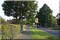 Path beside Kingsgate