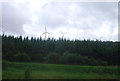 Clyde Wind Farm and woodland