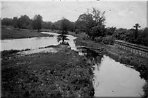 SU3642 : River Anton, Goodworth Clatford by Ethel Tiller 1885-1946