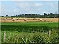 SP0070 : Farmland with straw bales by Christine Johnstone