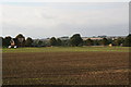 Louth Park Farm cottage and fields