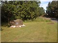 Millennium Stone, Lochfoot