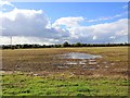 Fields south west of Long Marston Road