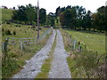 Farm track to Alder Hurst Head