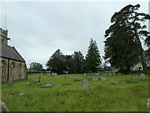 ST6008 : St Peter, Chetnole: churchyard (f) by Basher Eyre