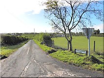 H5266 : Laragh Road, Laragh by Kenneth  Allen