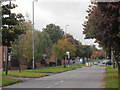 Long Nuke Road in autumn